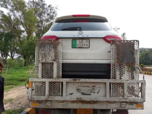 WhatsApp Image 2026-02-20 at 6.19.54 AM